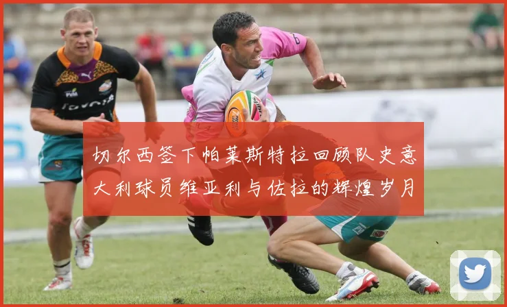 切尔西签下帕莱斯特拉回顾队史意大利球员维亚利与佐拉的辉煌岁月